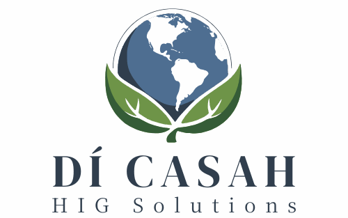Dí Casah Hig Solutions
